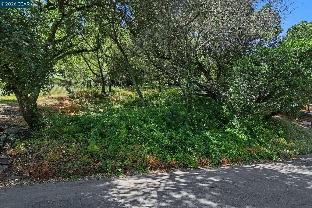 46 Oak Road Orinda CA 94563