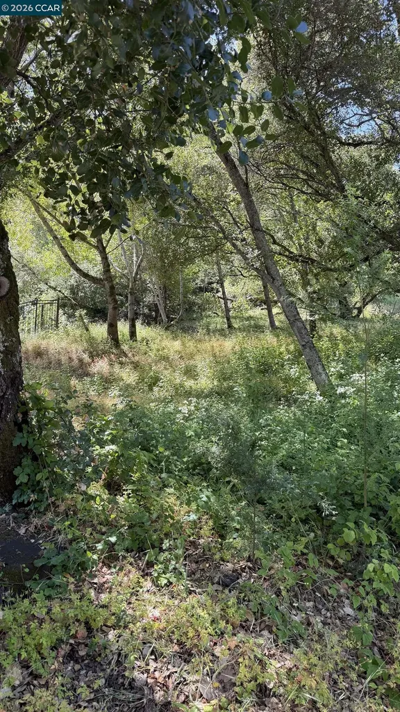 46 Oak Road Orinda CA 94563