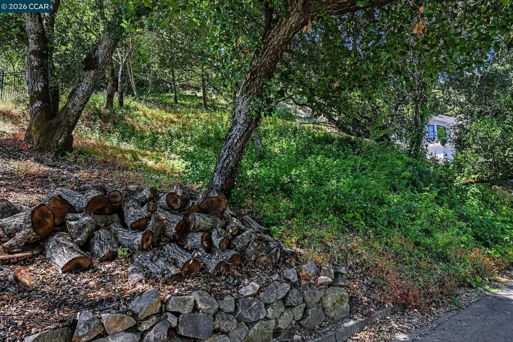 46 Oak Road Orinda CA 94563