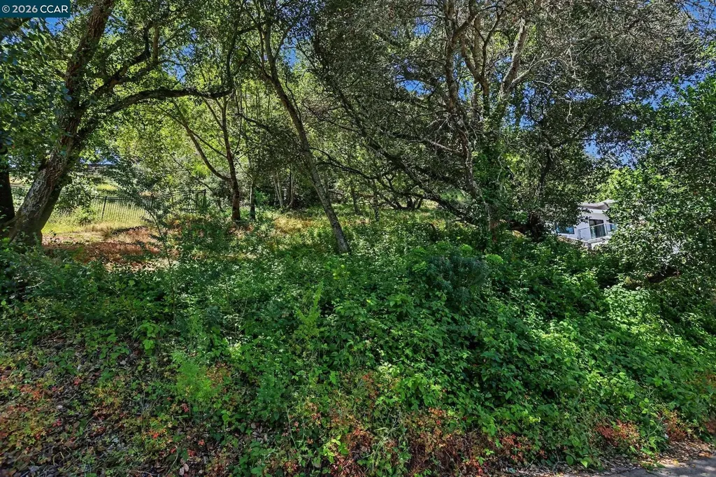 46 Oak Road Orinda CA 94563