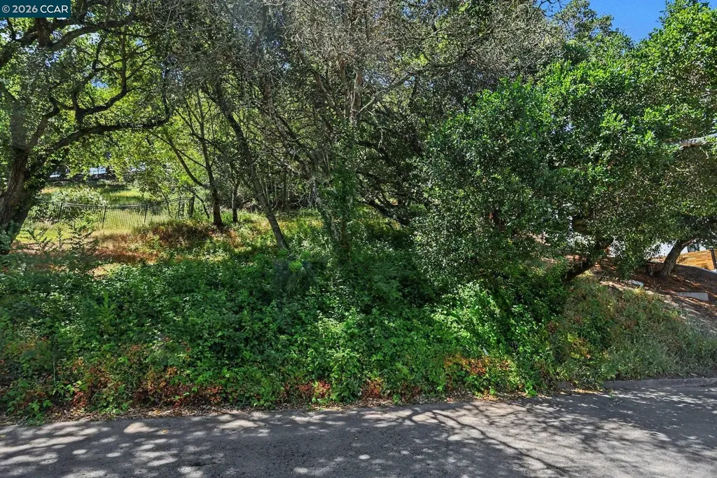 46 Oak Road Orinda CA 94563