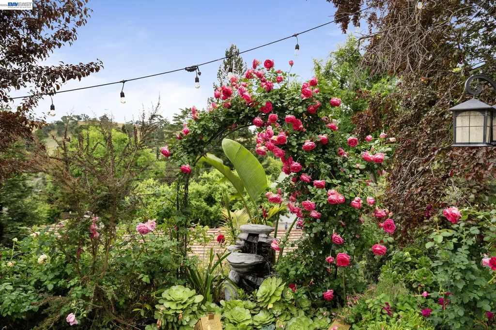 656 La Vista Road Walnut Creek CA 94598