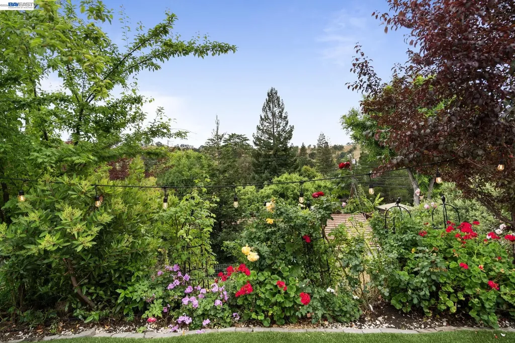 656 La Vista Road Walnut Creek CA 94598