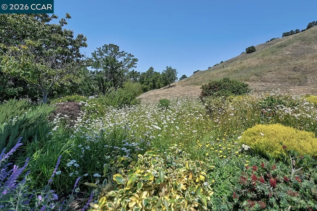 3424 Rossmoor Parkway Walnut Creek CA 94595