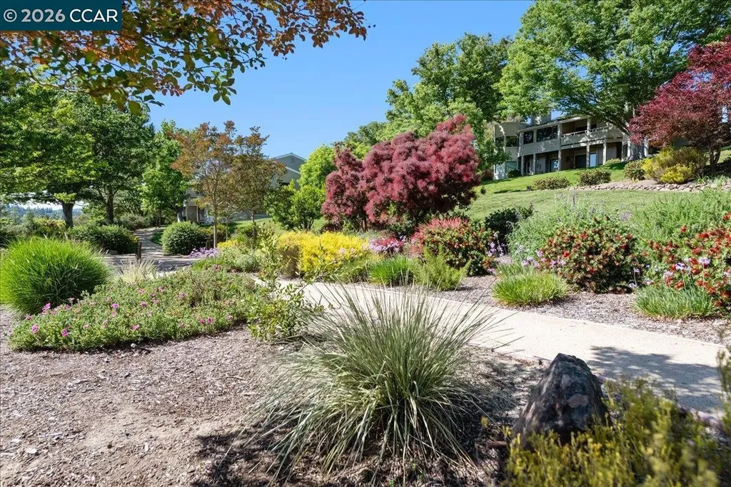 2633 Saklan Indian Drive Walnut Creek CA 94595