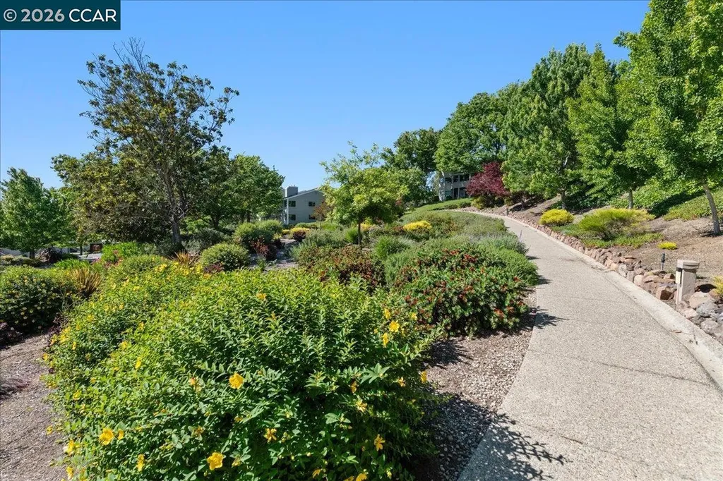 2633 Saklan Indian Drive Walnut Creek CA 94595