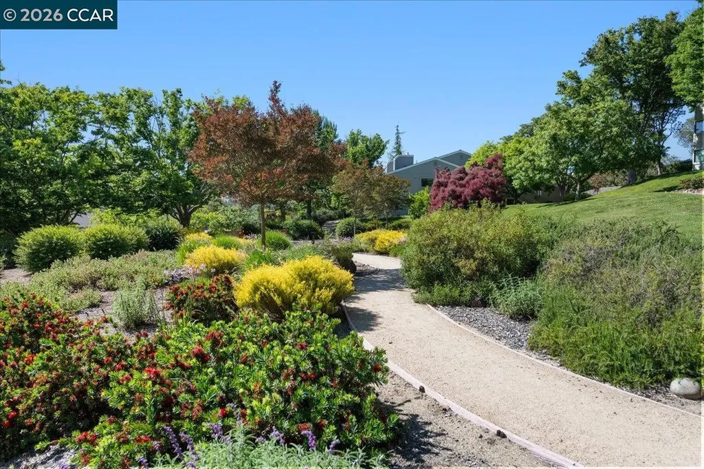 2633 Saklan Indian Drive Walnut Creek CA 94595