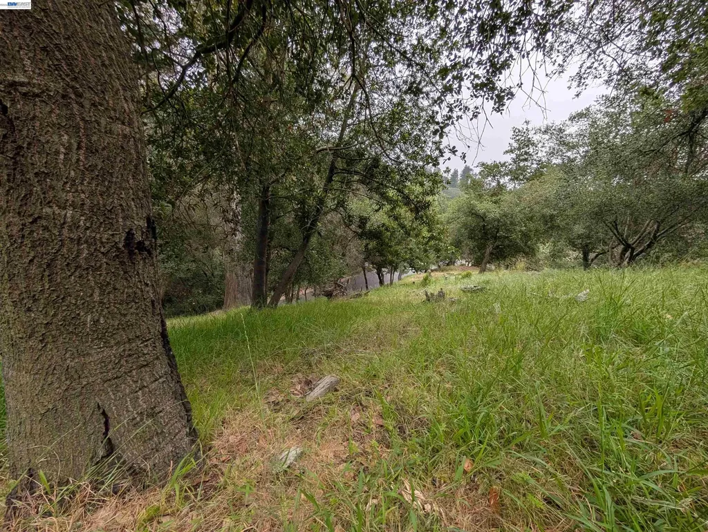 000 Girvin Drive Oakland CA 94603