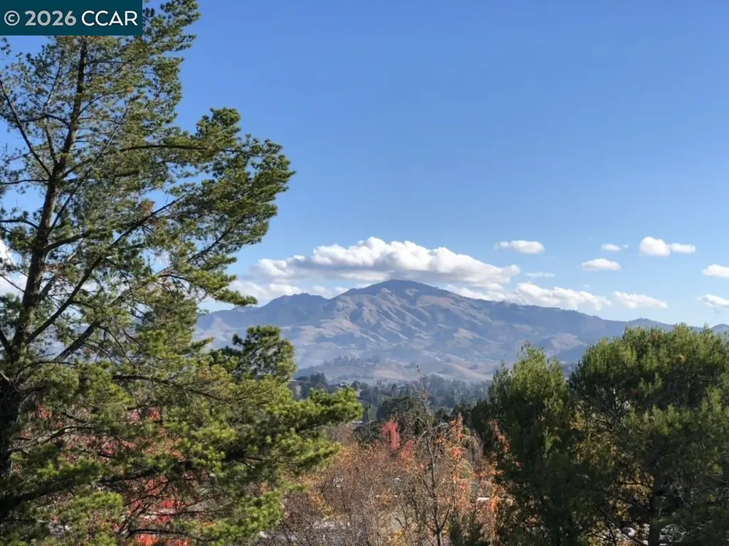 2933 Ptarmigan Drive Walnut Creek CA 94595
