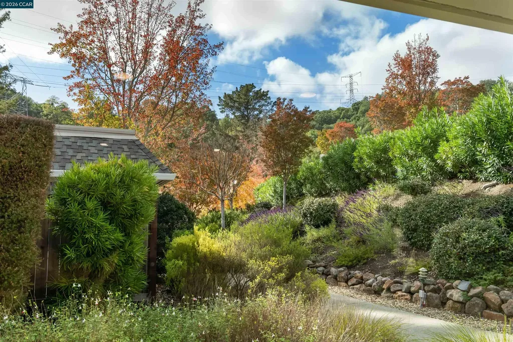 2933 Ptarmigan Drive Walnut Creek CA 94595