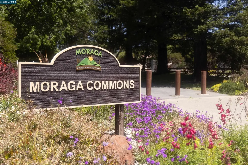 59 Lynwood Place Moraga CA 94556