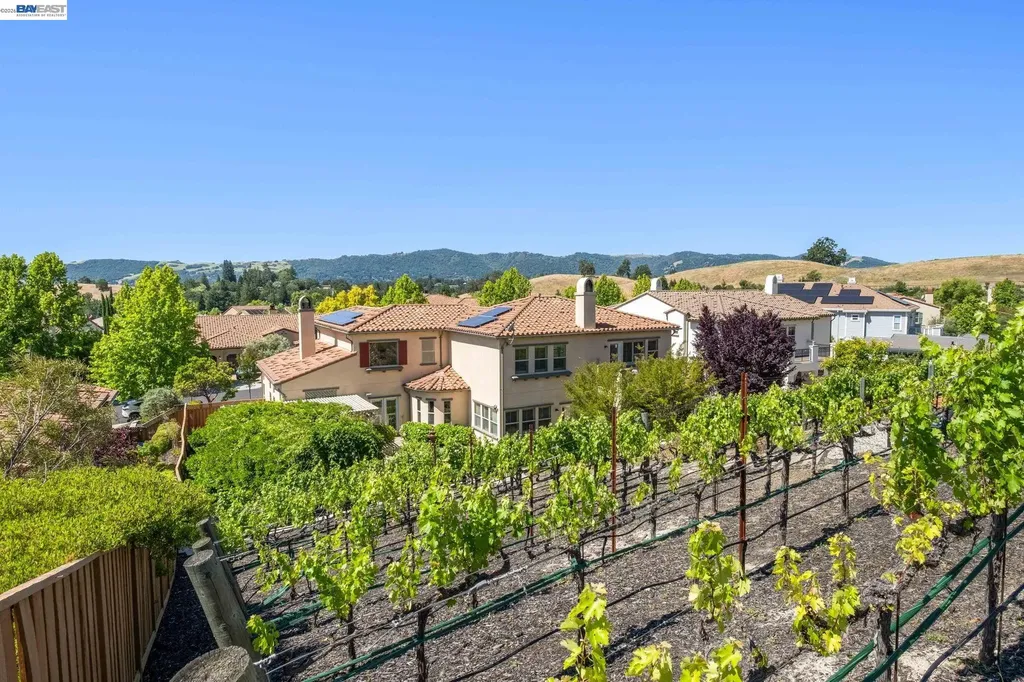 387 Golden Grass Drive Alamo CA 94507
