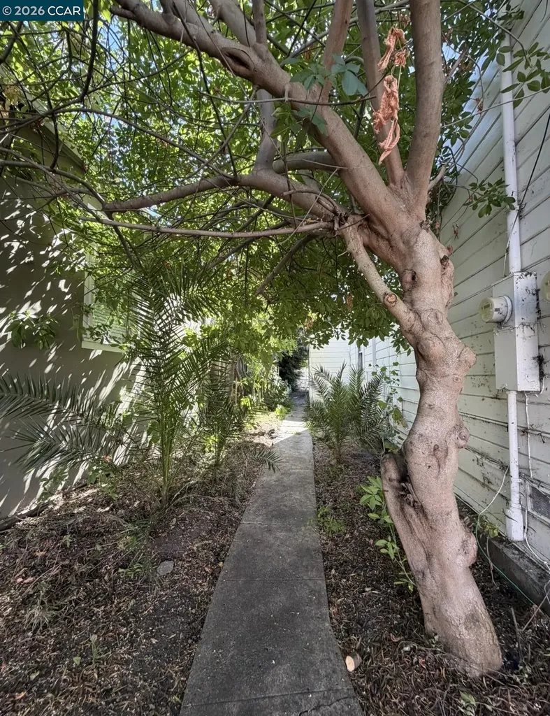 604 Berrellesa Street Martinez CA 94553