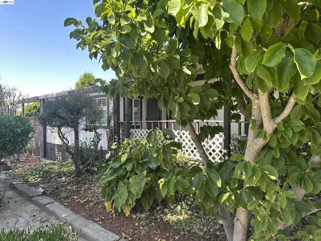 390 Tropicana Way Union City CA 94587