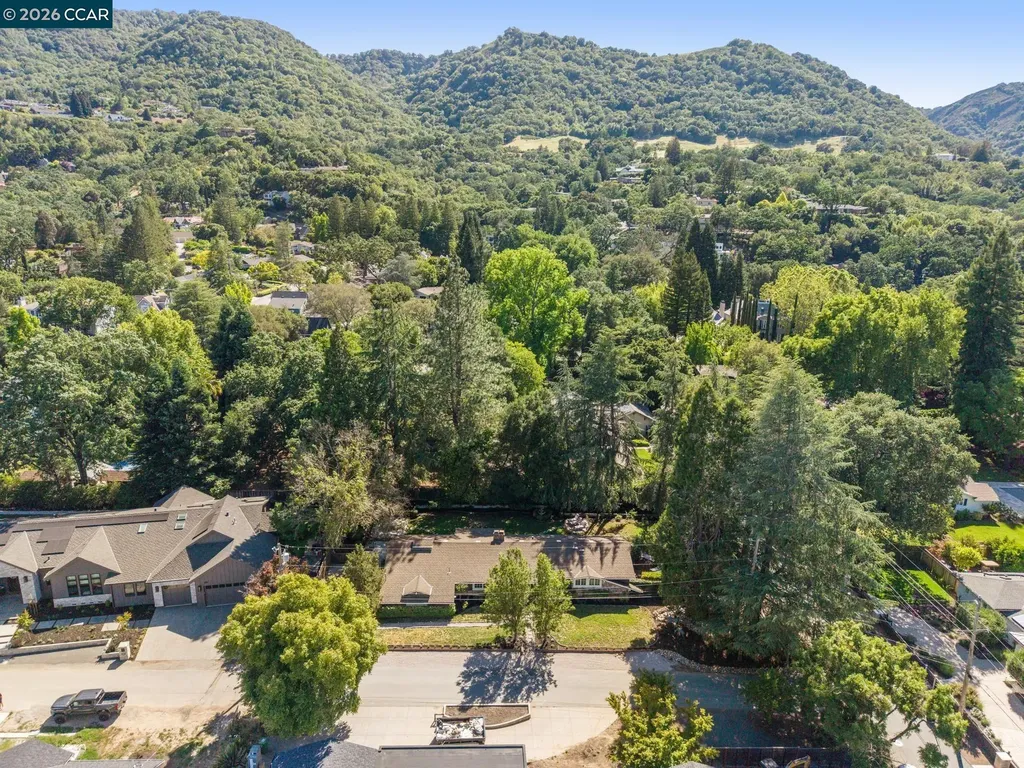699 Terry Lane Danville CA 94526