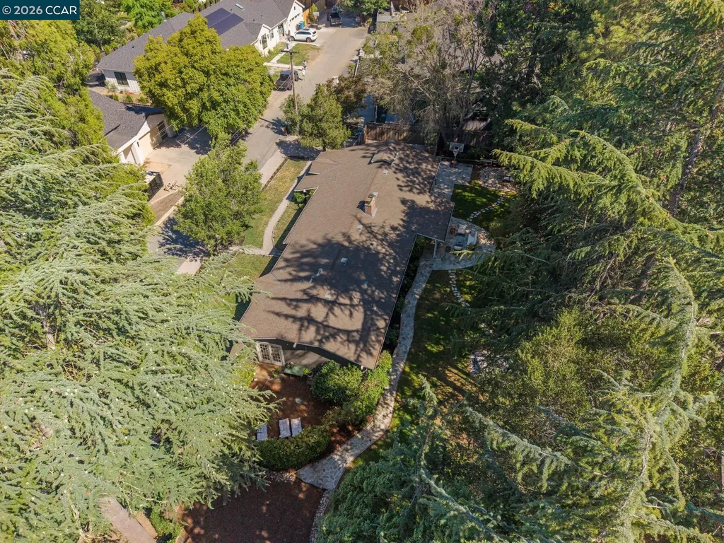 699 Terry Lane Danville CA 94526