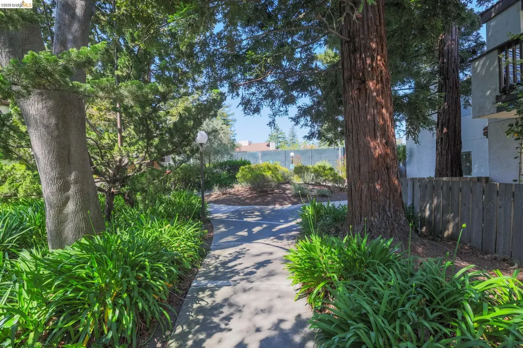 21062 Gary Drive Hayward CA 94546