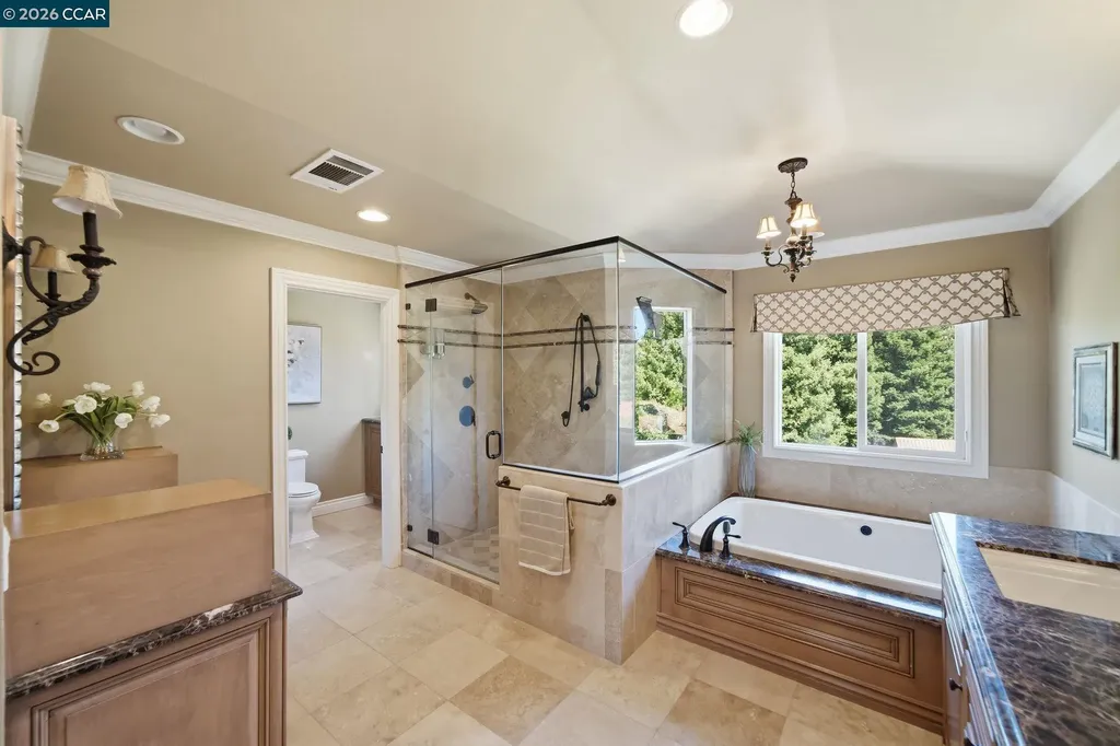 700 Blue Spruce Drive Danville CA 94506