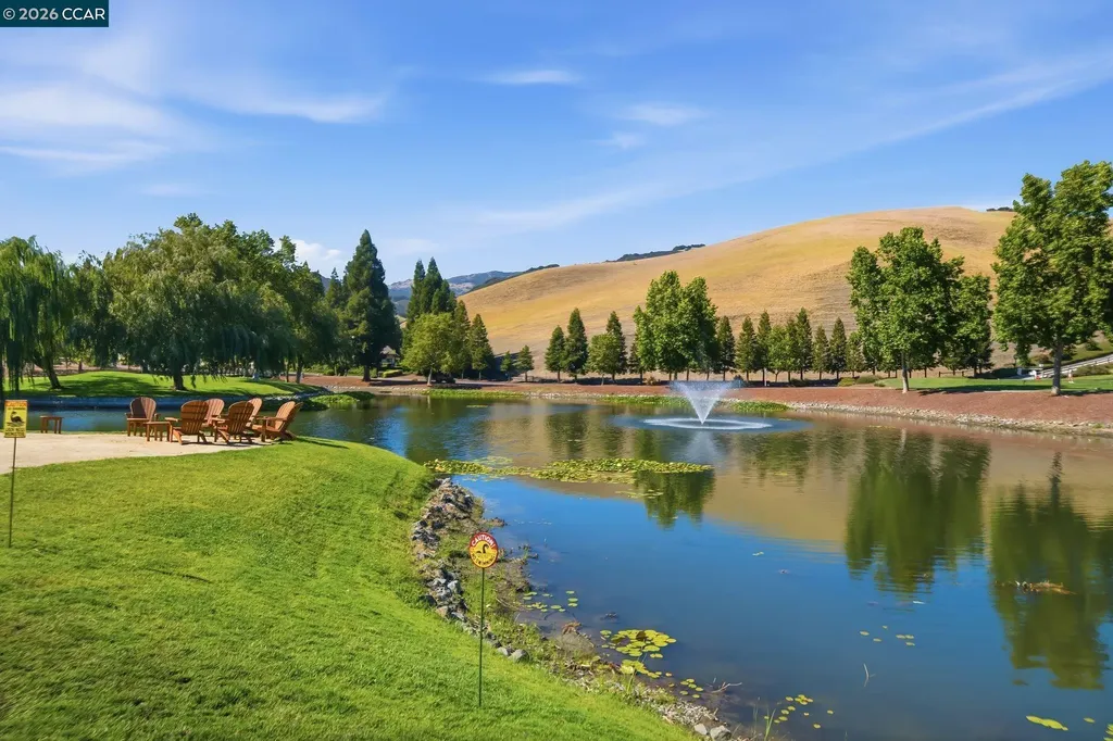 700 Blue Spruce Drive Danville CA 94506