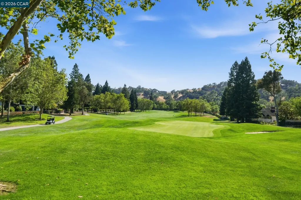 700 Blue Spruce Drive Danville CA 94506