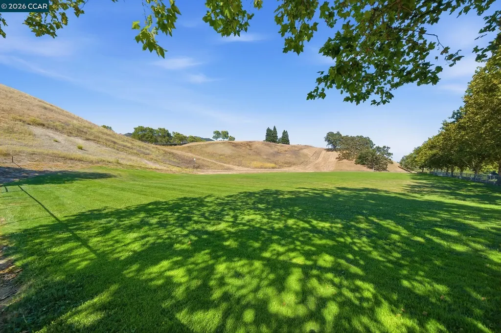 700 Blue Spruce Drive Danville CA 94506