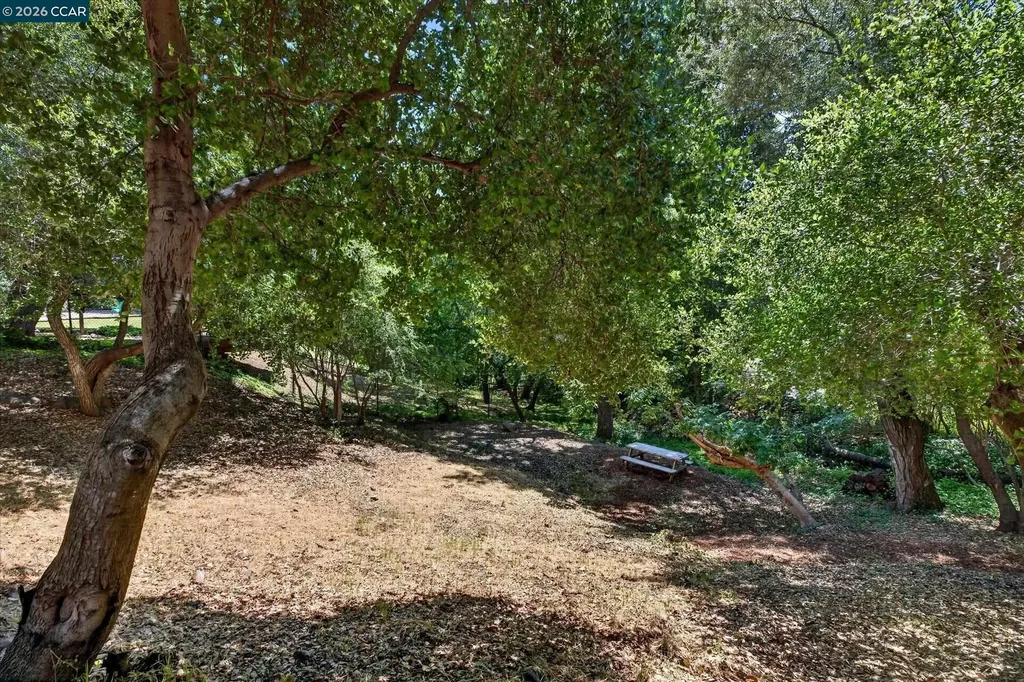 43 Monte Vista Road Orinda CA 94563