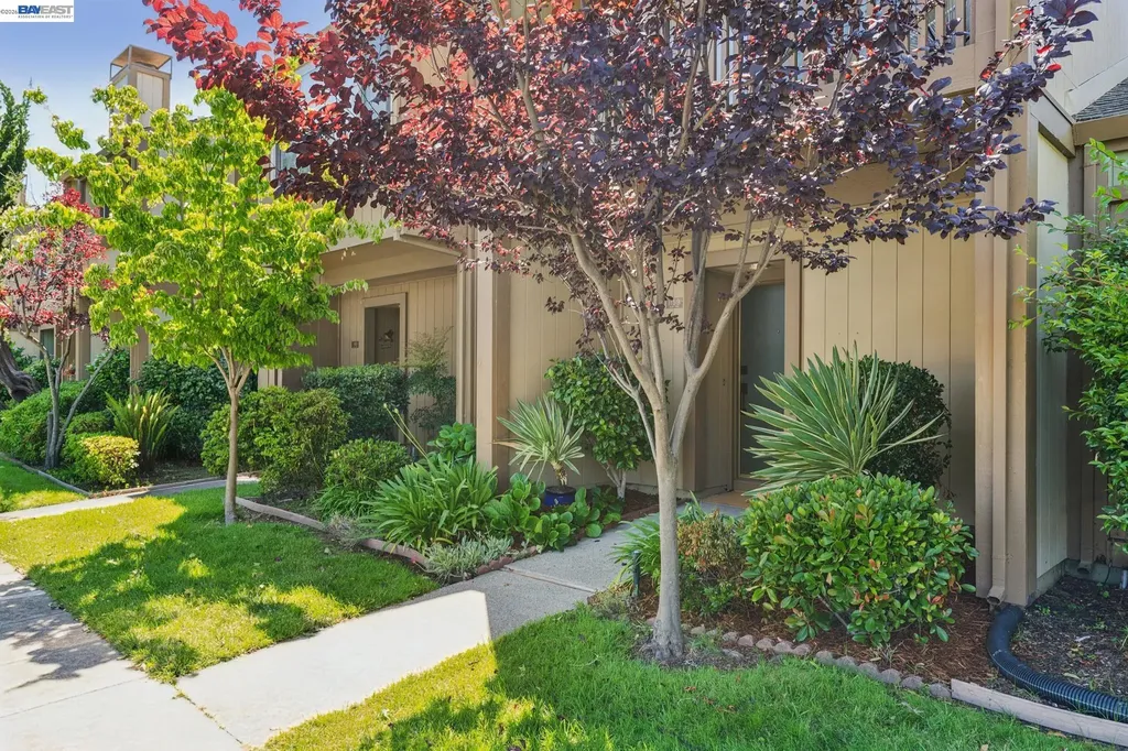 1159 Island Drive Alameda CA 94502