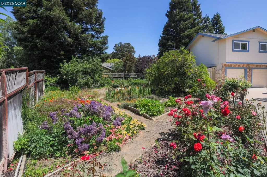 1193 Morrell Concord CA 94521