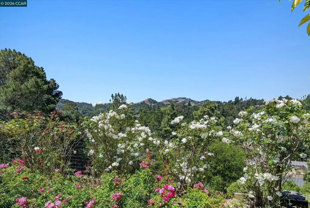 136 Ardith Drive Orinda CA 94563