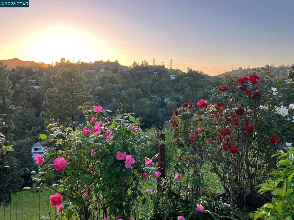 136 Ardith Drive Orinda CA 94563