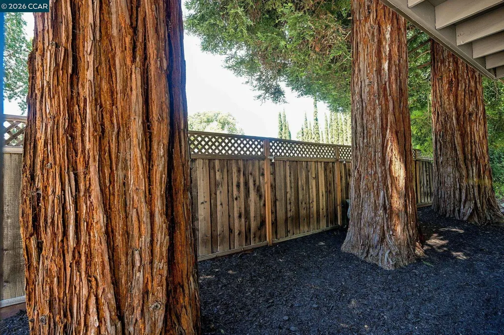 110 Rose Street Walnut Creek CA 94595