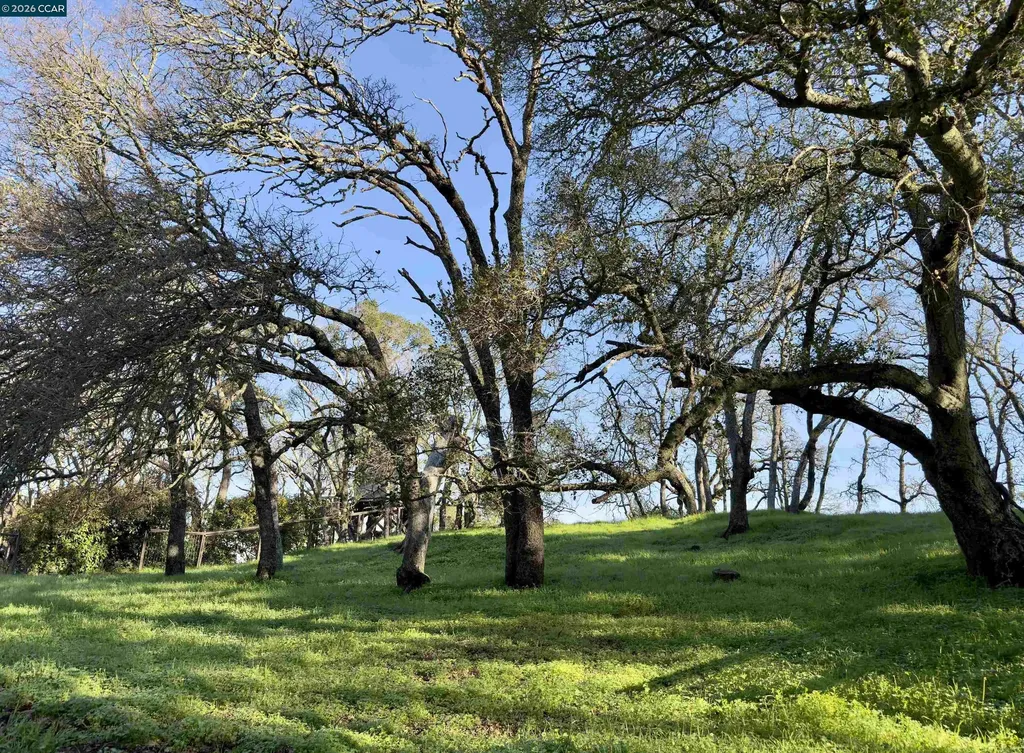 0 Castle Crest Road Alamo CA 94507