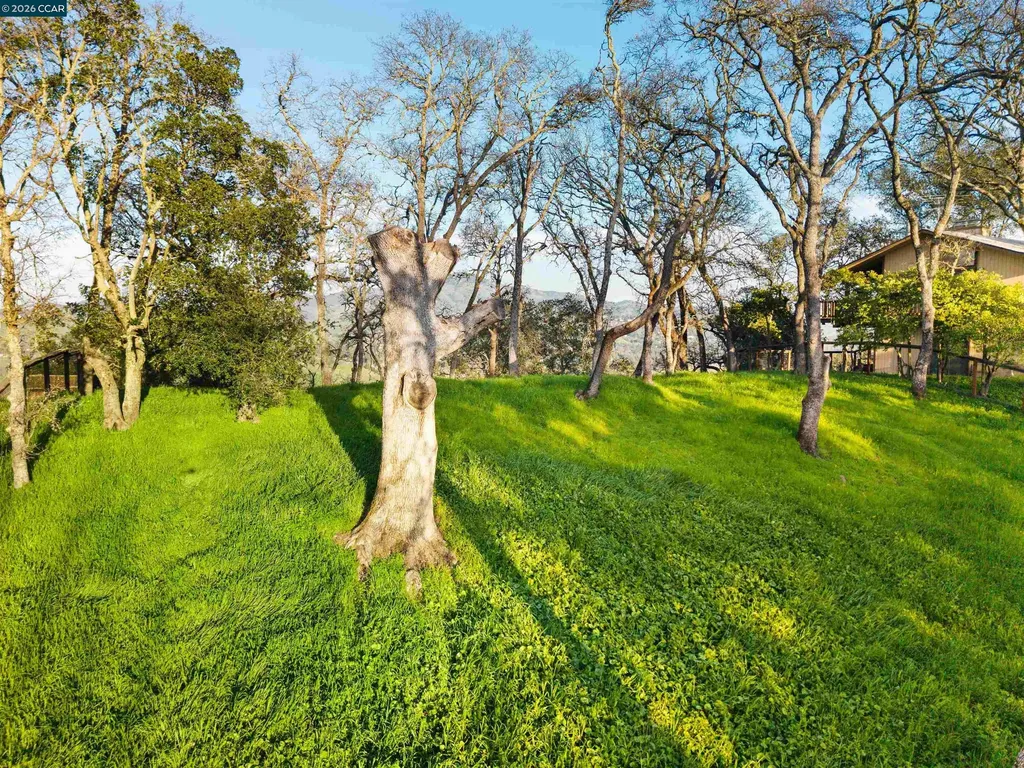 0 Castle Crest Road Alamo CA 94507
