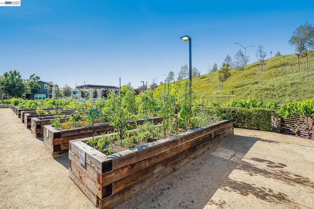 198 Teasel Common Livermore CA 94551