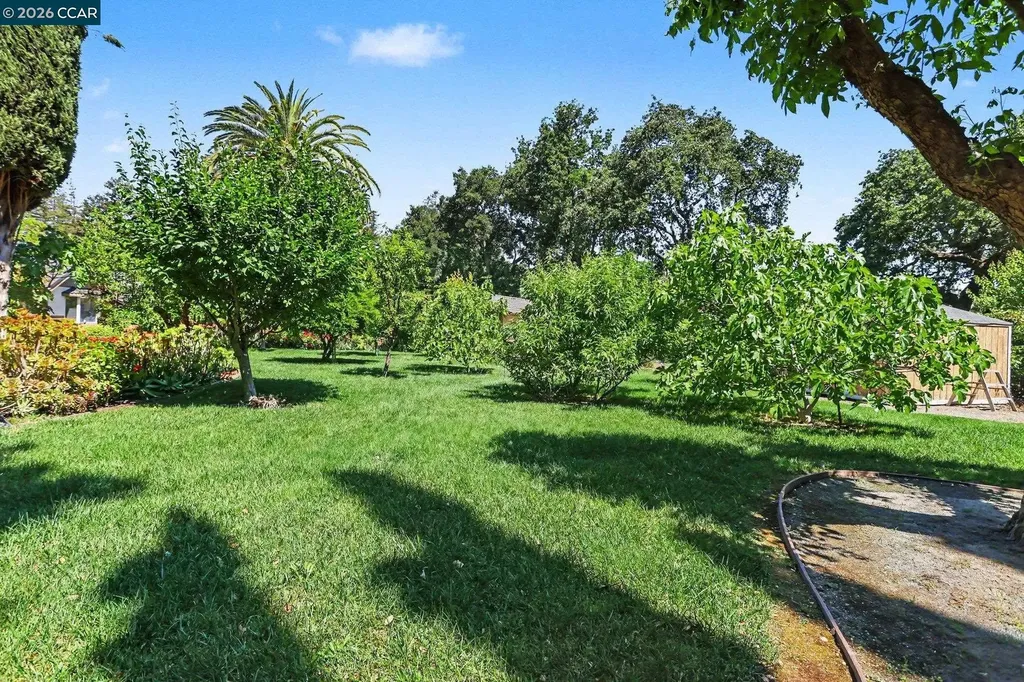 25 Amberwood Lane Walnut Creek CA 94598