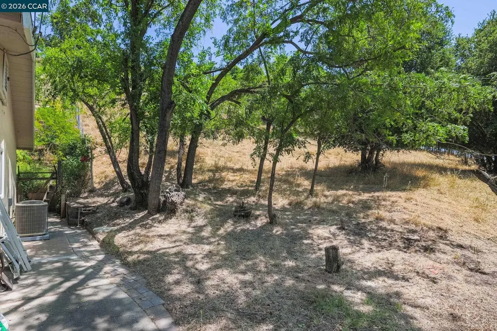 205 Summit Road Walnut Creek CA 94598