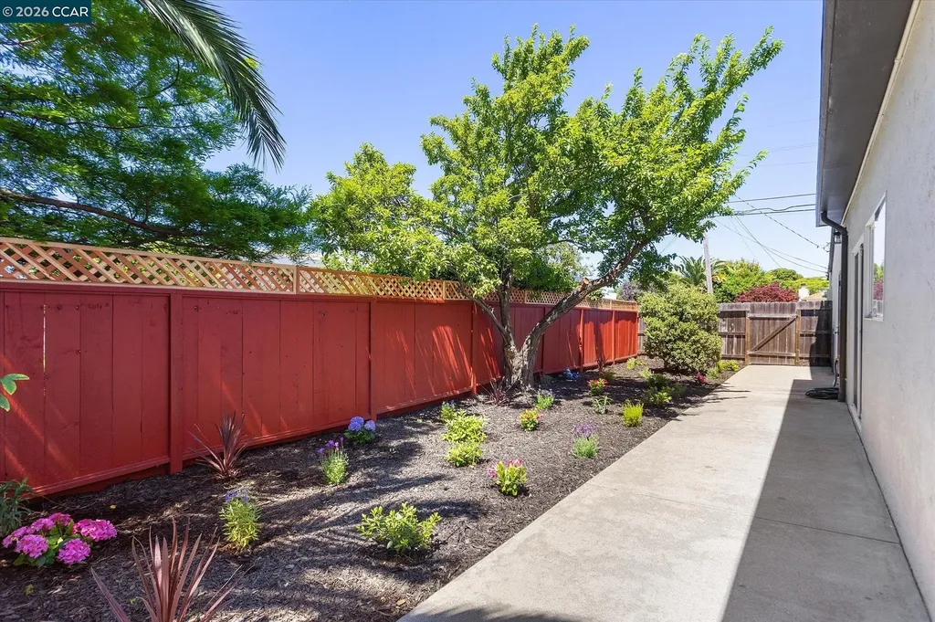 1784 Via Natal San Lorenzo CA 94580