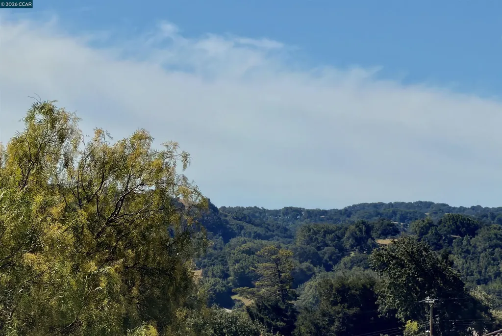 11458 Winding Trail Lane Dublin CA 94568