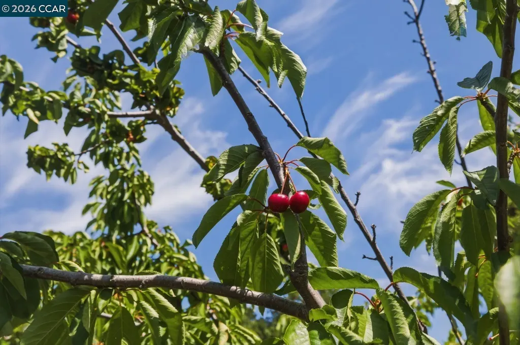 634 Teresa Street Martinez CA 94553