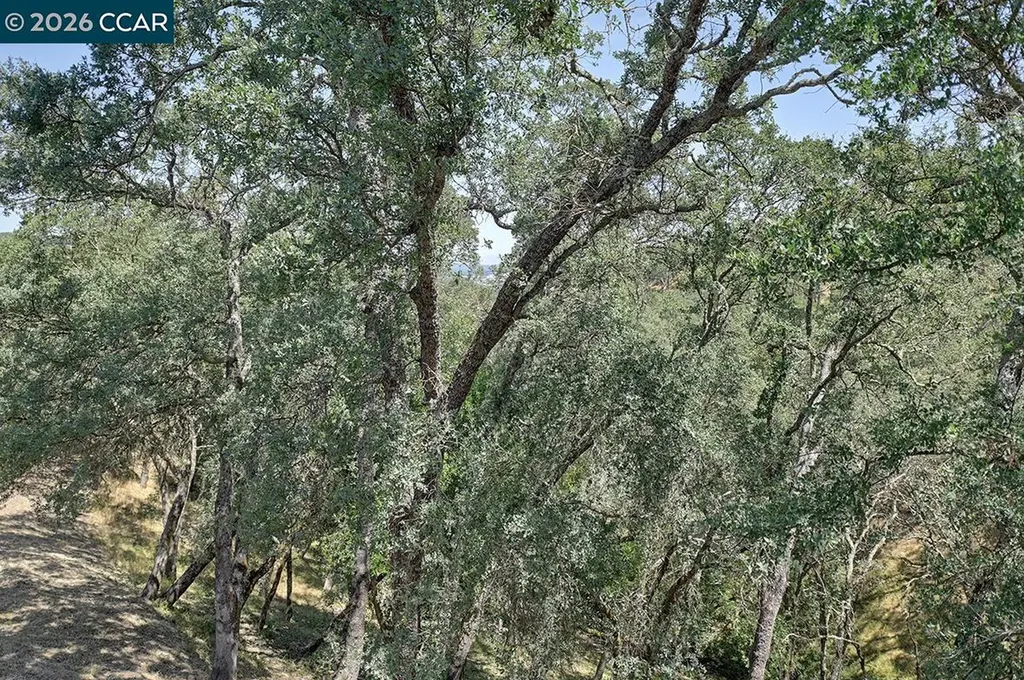 3017 Grey Eagle Drive Walnut Creek CA 94595