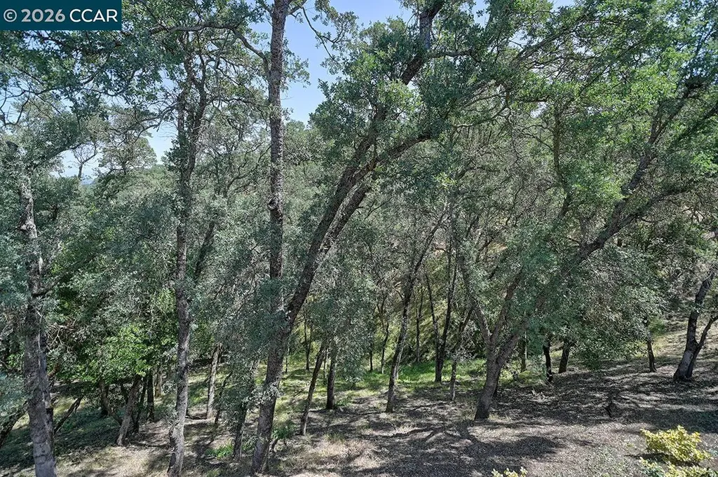 3017 Grey Eagle Drive Walnut Creek CA 94595