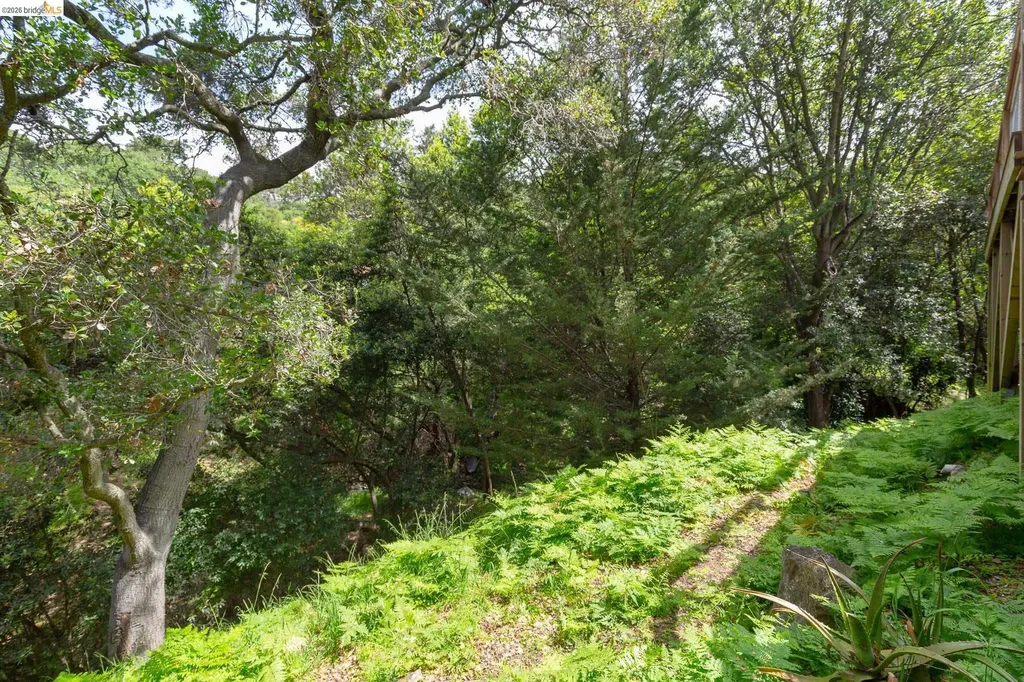 454 Vincente Avenue Berkeley CA 94707