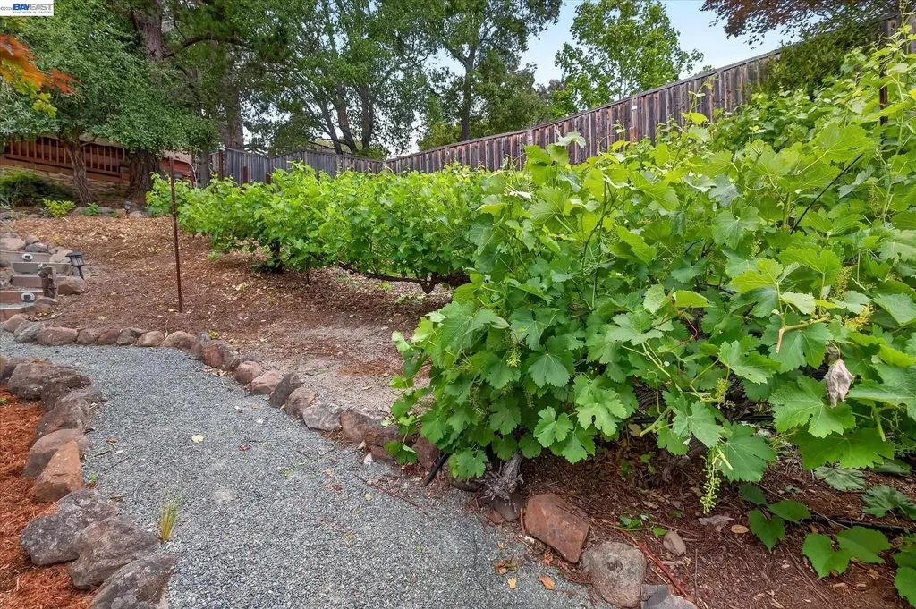 184 Lowell Drive Danville CA 94526