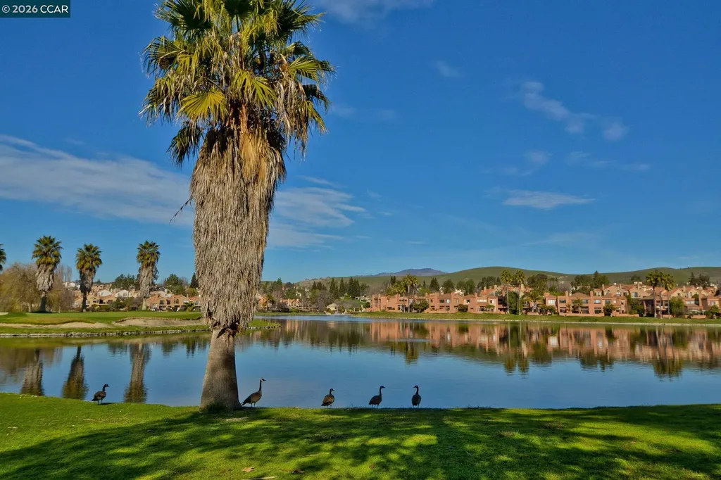5012 Lakeview Drive San Ramon CA 94582