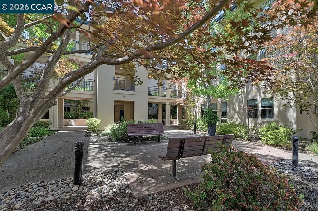 5920 Horsemans Canyon Drive Walnut Creek CA 94595