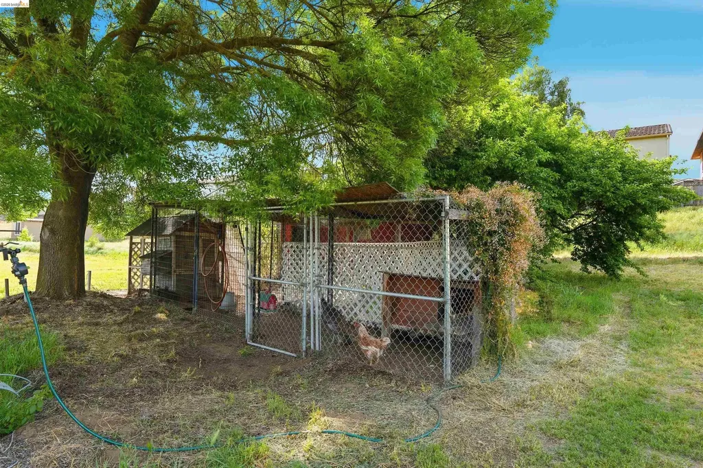 209 Honey Lane Oakley CA 94561