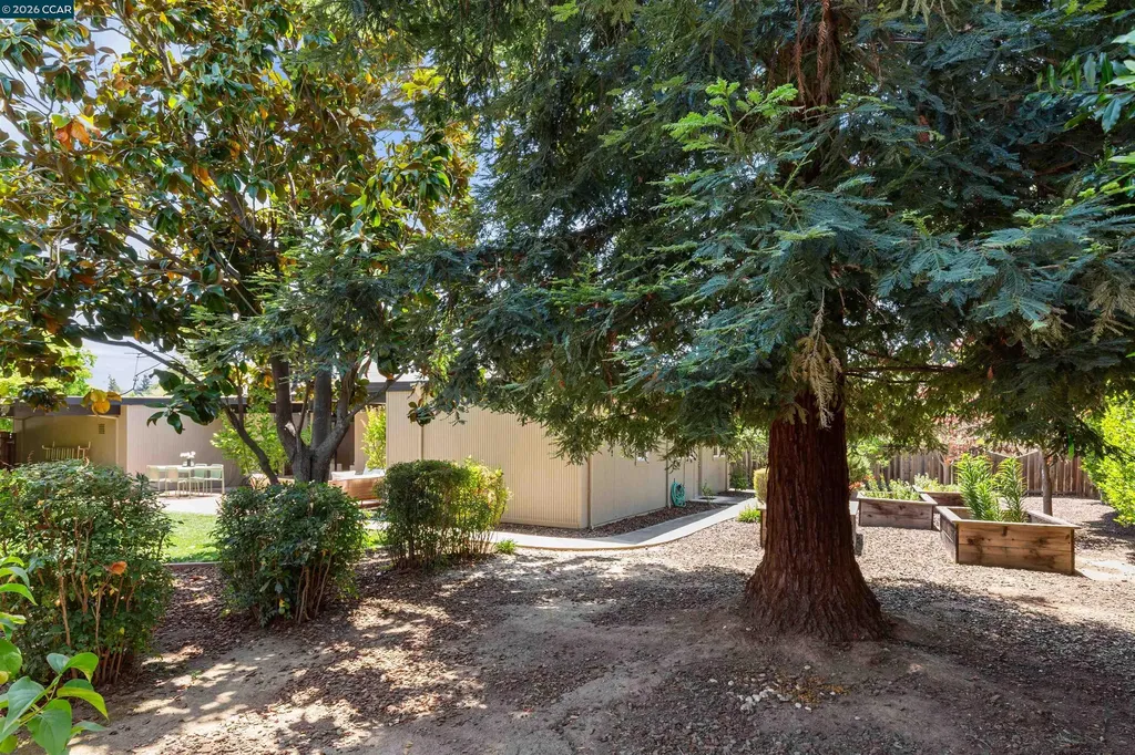 278 El Divisadero Avenue Walnut Creek CA 94598