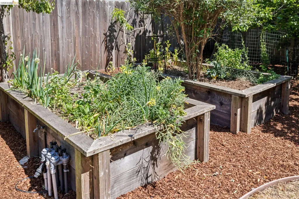 1108 Dwight Way Berkeley CA 94702