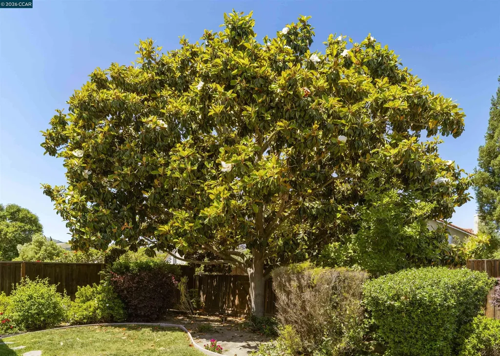 3237 Vera Cruz Drive San Ramon CA 94583