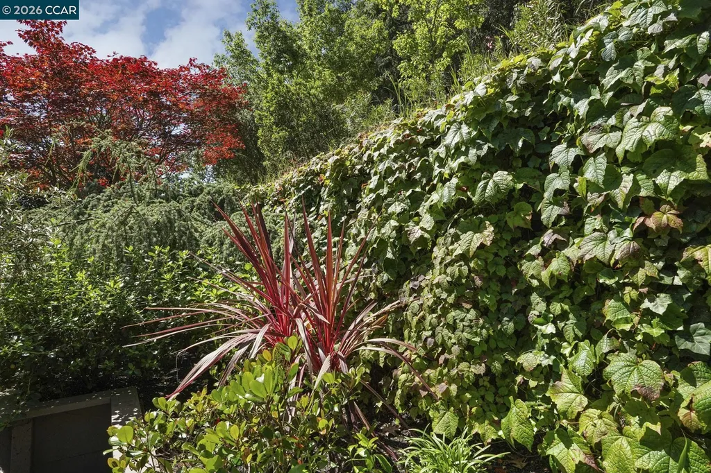 106 Brookline Street Moraga CA 94556